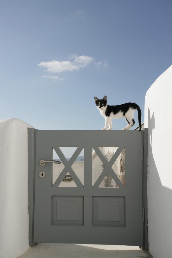 White Suite Οία Εξωτερικό φωτογραφία